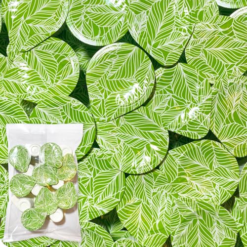 O_ Zk Β |[V 15 VFApbN ߗp |[V^Cv 1Lp 