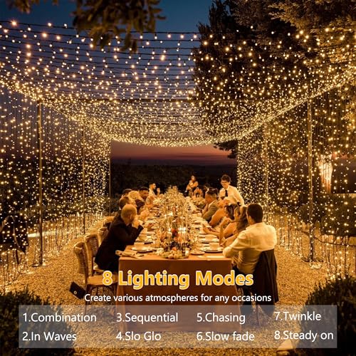 Brizled Led String Lights, 66Ft 200 Led Warm White Berry String Lights, 8 Modes Christmas Lights With Remote thumb #2