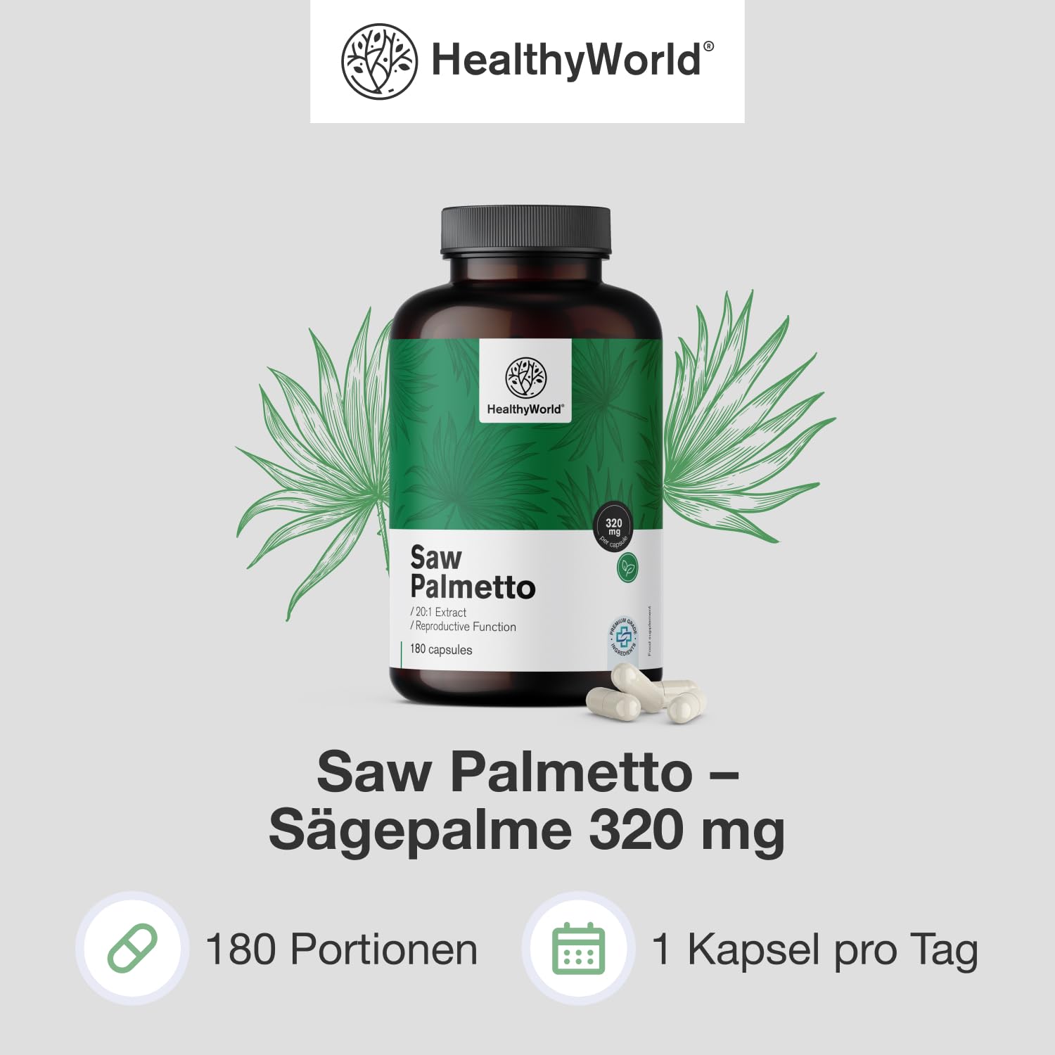 HealthyWorld Saw Palmetto – Sägepalme mit Zinkzusatz – 20:1 Extrakt – 180 pflanzliche Kapseln – Unterstützung für die Prostata – XXL-Packung – Für 6 Monate