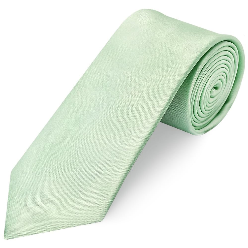 TIES R US Pale Mint Satin Classic Men's Tie