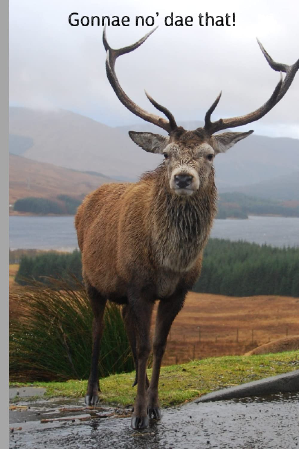 Gonnae No' Day That!: (Don't Do That)