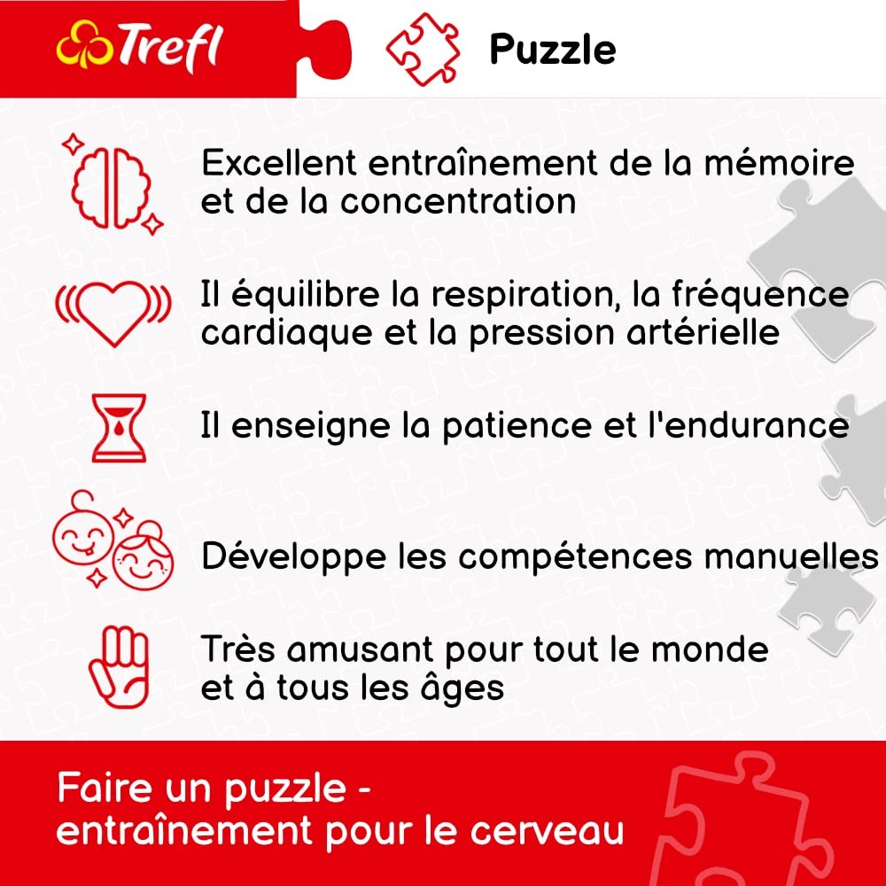 Trefl, Puzzle, Le Gradient, 1000 Pièces, Qualité Premium, pour Adultes et Enfants à partir de 12 Ans