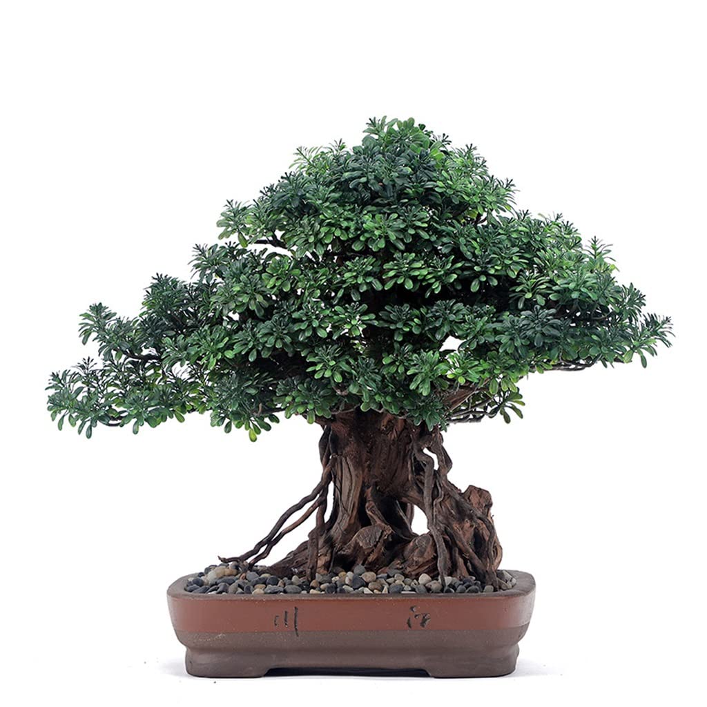 HCZKIUJY Artificial Bonsai Tree Articial Bonsai Tree Fake Plant Decoration Potted Artificial Houseplant Pine for Garden Home Office Porch Decor Fake Plant Decoration