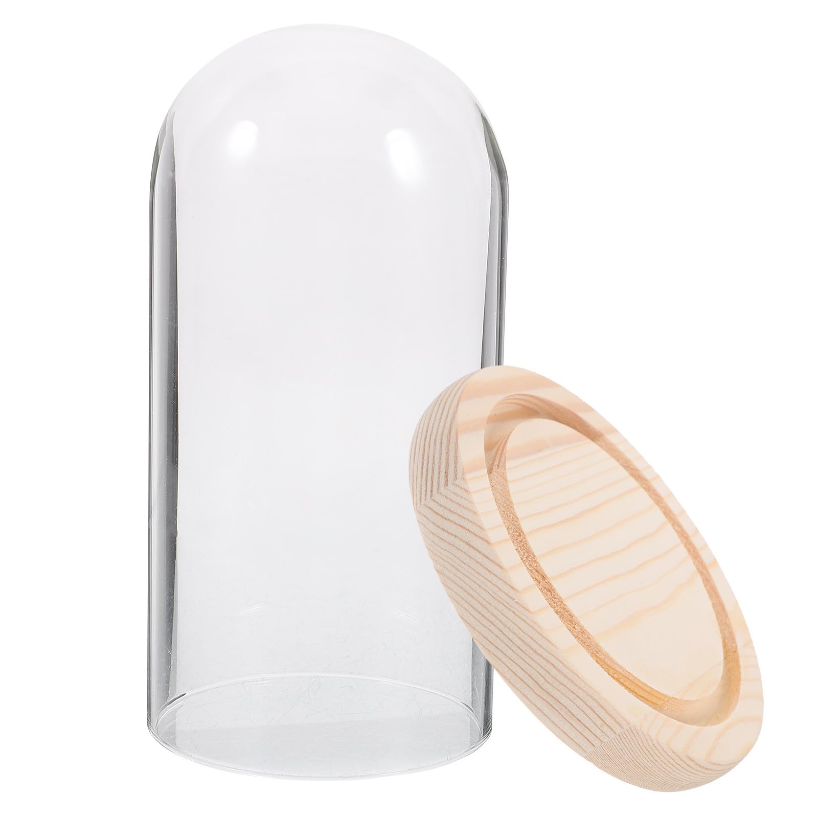 Cúpula de vidrio transparente jojofuny con base para flores preservadas y velas