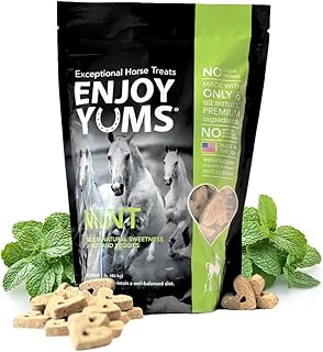 Mint Horse Treats – 1 lb Bag – All-Natural, Low Sugar, Heart-Shaped Baked Biscuits – Peppermint & Honey Flavor – Vet-Endorsed – USA Made