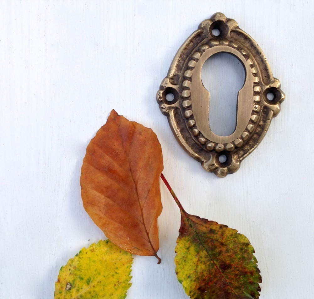 Antikas - Maniglia per porta di casa, in ottone anticato, con 2 ganci e rosette eleganti