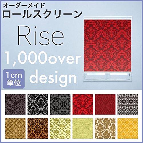 Amazon｜ロールスクリーン RISE 【幅61～90cm/丈121～220cm 採光タイプ