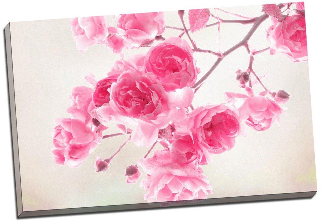 Panther Print Pink Roses Floral Canvas Print Picture Wall Art Large 30X20 Inches (76.2Cm X 50.8Cm)