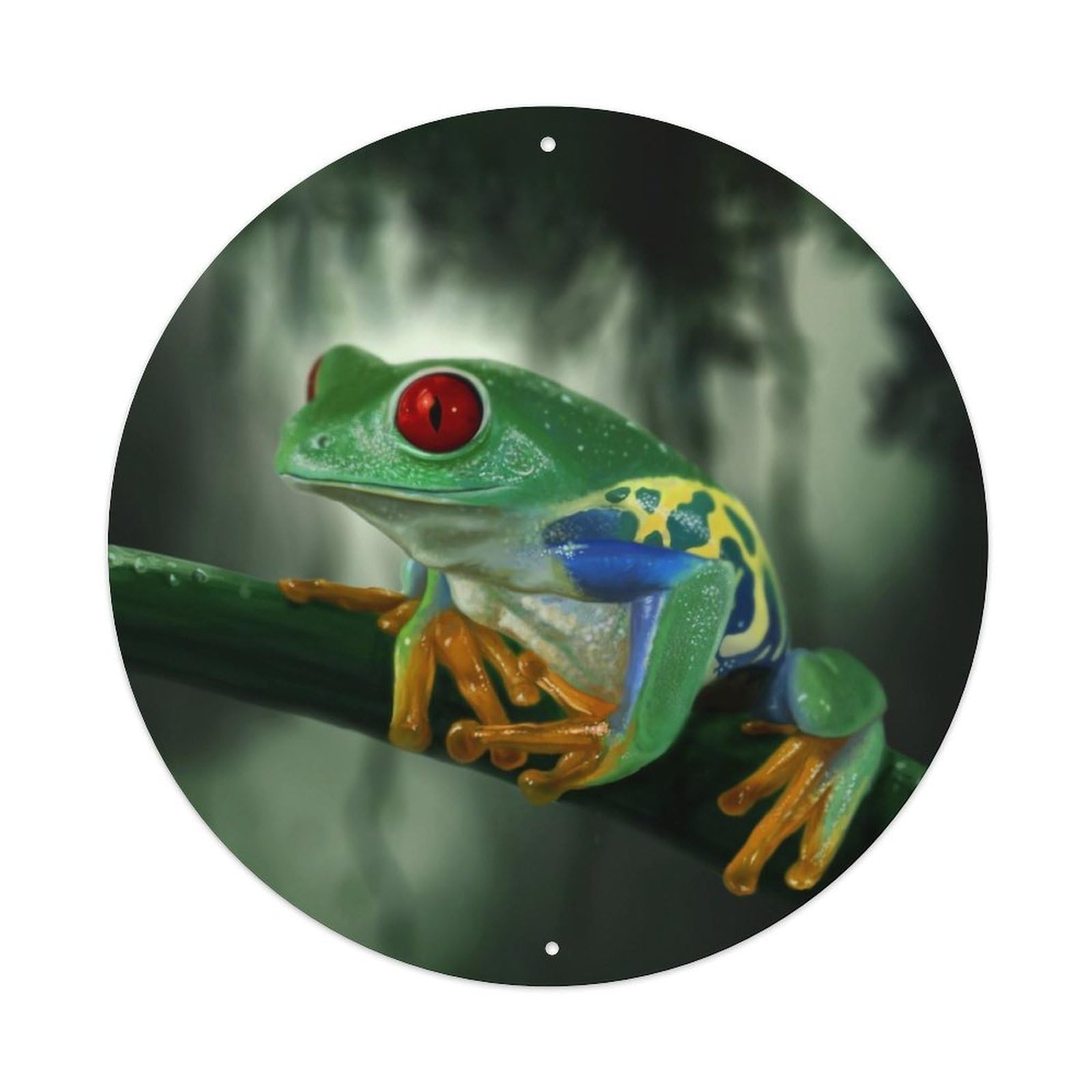 Red Eyed Tree Frog Rainforest Wildlife Animal Metal Tin Sign