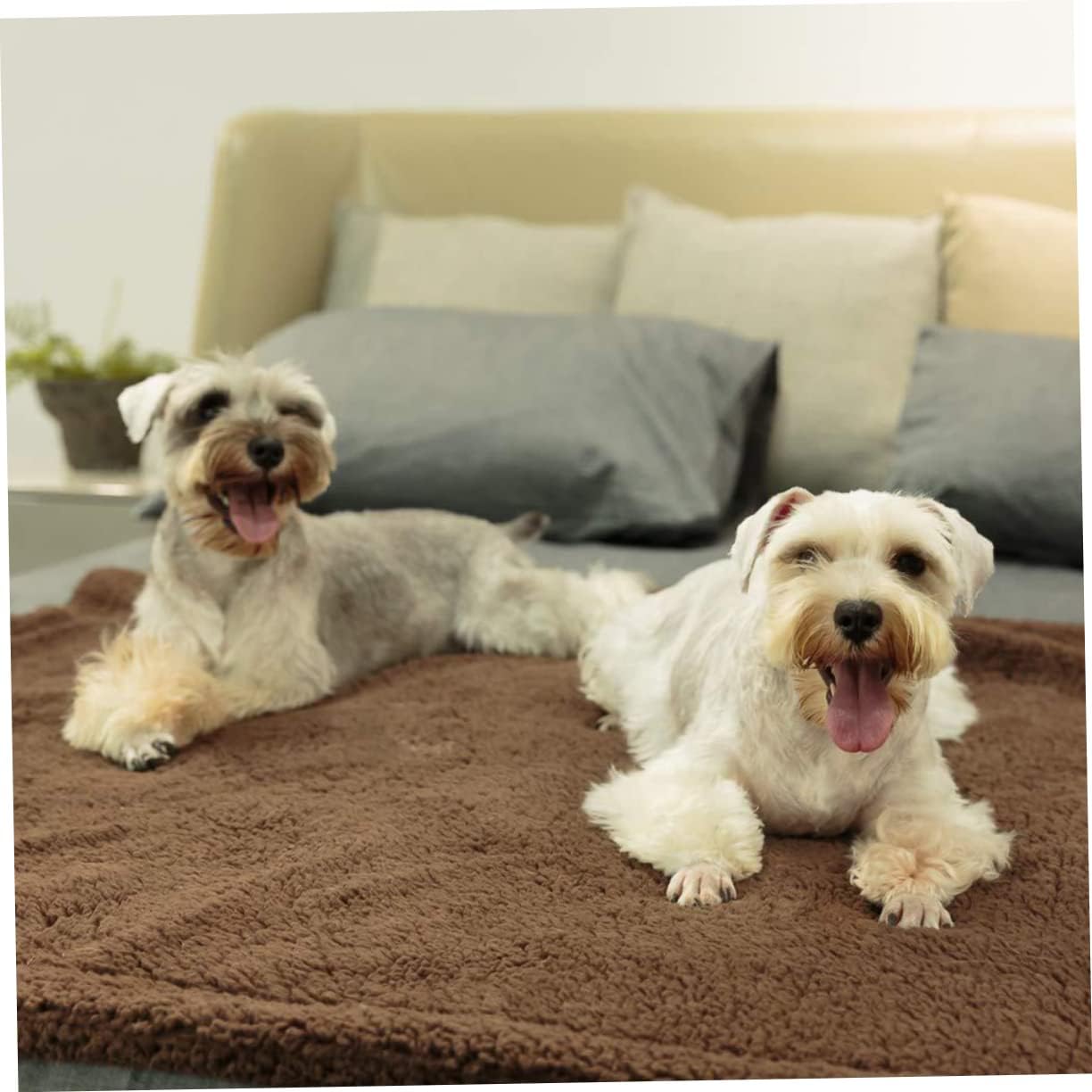 Abaodam Plush Pet Blanket for Dogs and Cats, Lightweight Travel Mat Coffee | Keeps Floor Clean, Warm Comfort, Easy to Carry, Home Floor and Traveling Use