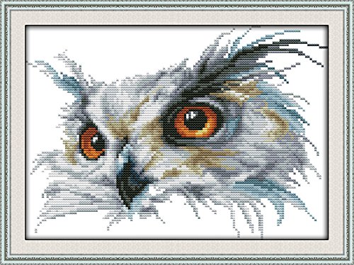 Maydear Cross Stitch Stamped Kits Full Range of Embroidery Starter Kits Beginners for DIY 11CT 3 Strands - Owl 15.4×10.6(inch)