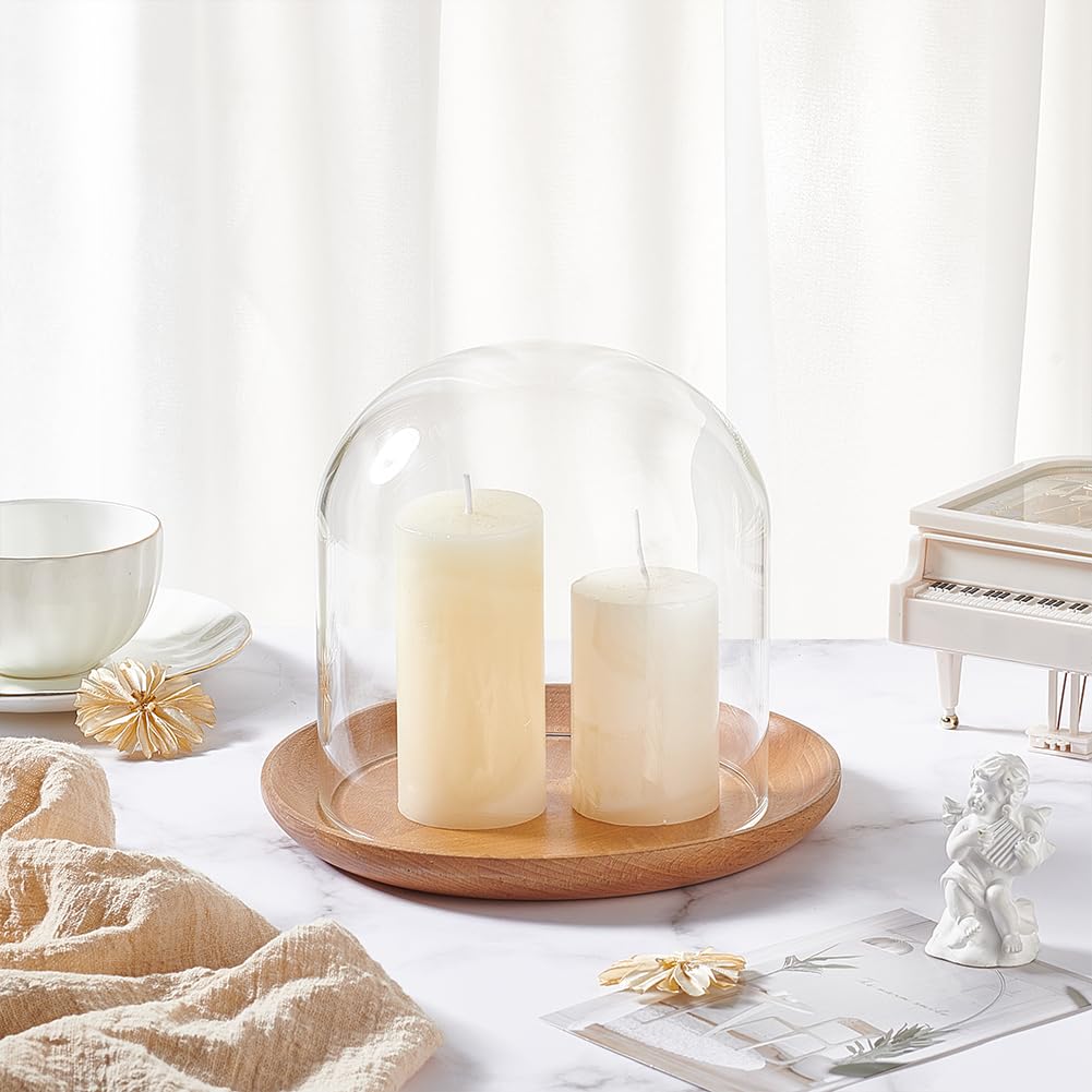 BENECREAT Cloche de Présentation en Verre de 12x16cm Dôme