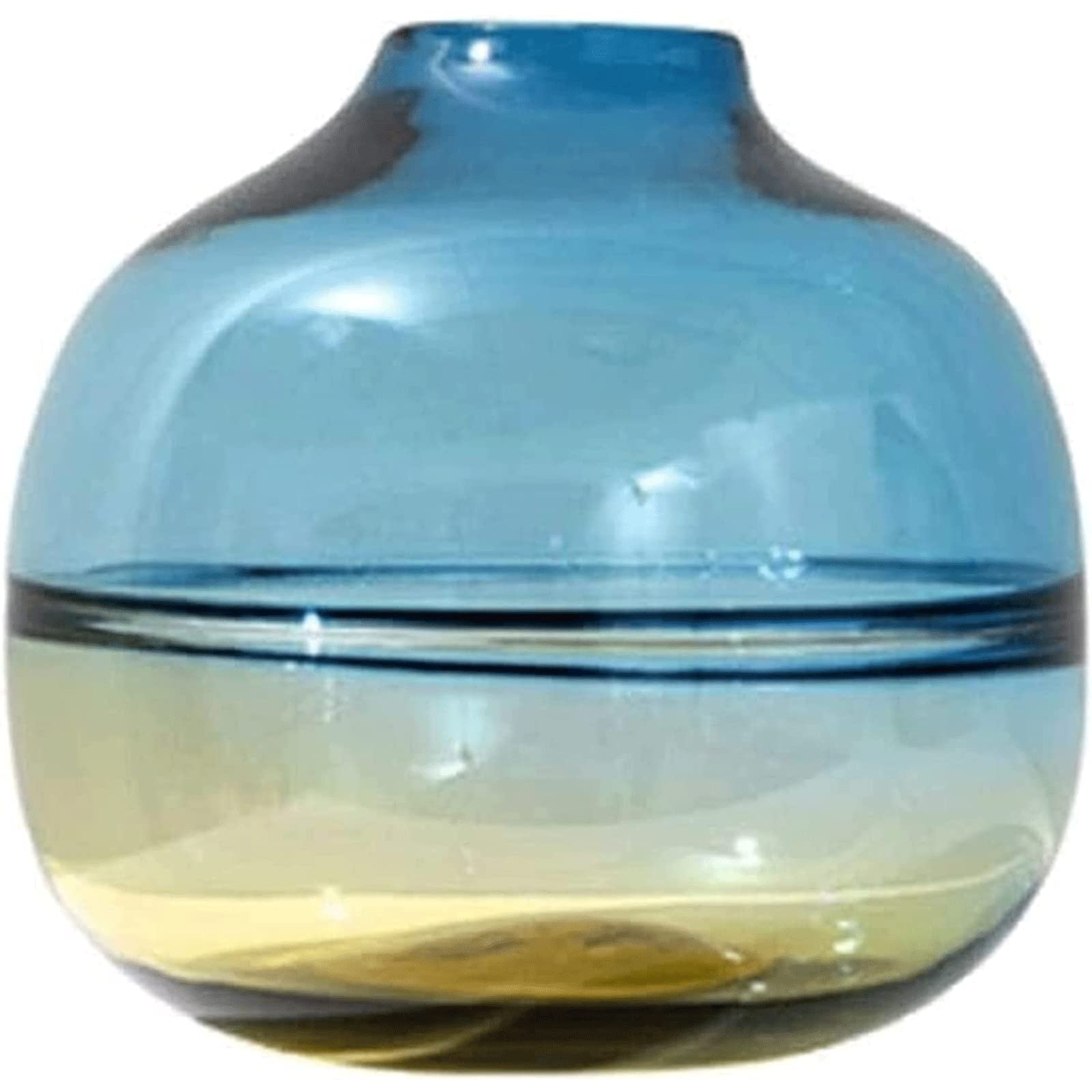Ngdfgr As Known Fashion Simple And Versatile Vase For Decor Transparent Colored Transparent Flower Vases Table Top Display Modern Or As Gifts Decoration (B),B