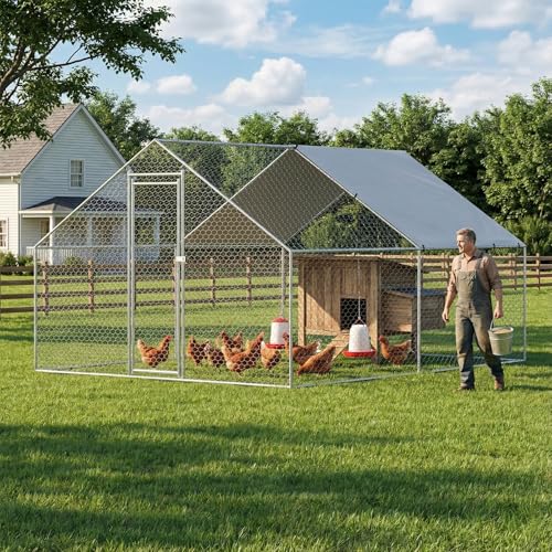 TimberAura Heavy Duty Chicken Coop