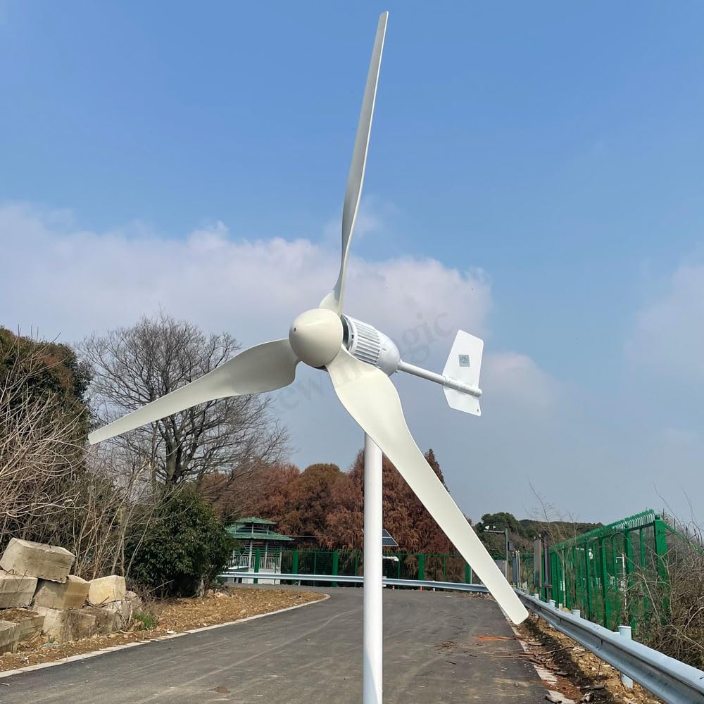 Generador de viento horizontal de 3000 W, 48 V, con regulador de carga MPPT híbrido, turbina de viento para molino de viento para el hogar (con regulador de carga híbrido)