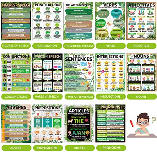 Affiches éducatives eucalyptus pour éliminer les fautes de grammaire