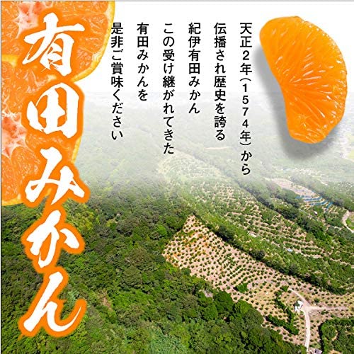 ハウス みかん 和歌山県産 赤秀 有田ミカン 産地直送 選別済 ※お歳暮 お中元　熨斗対応可能 (1kg) 2枚目