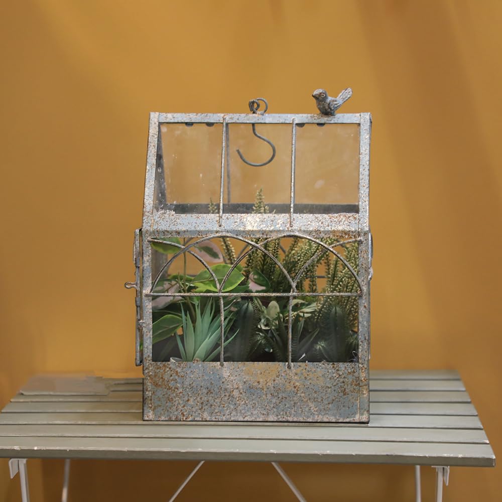 Invernadero vintage de cristal envejecido para colgar plantas grandes con tapa, maceta de mesa para interiores, caja de exhibición para orquídeas, suculentas, helechos, musgo, cactus, ventana, jardín