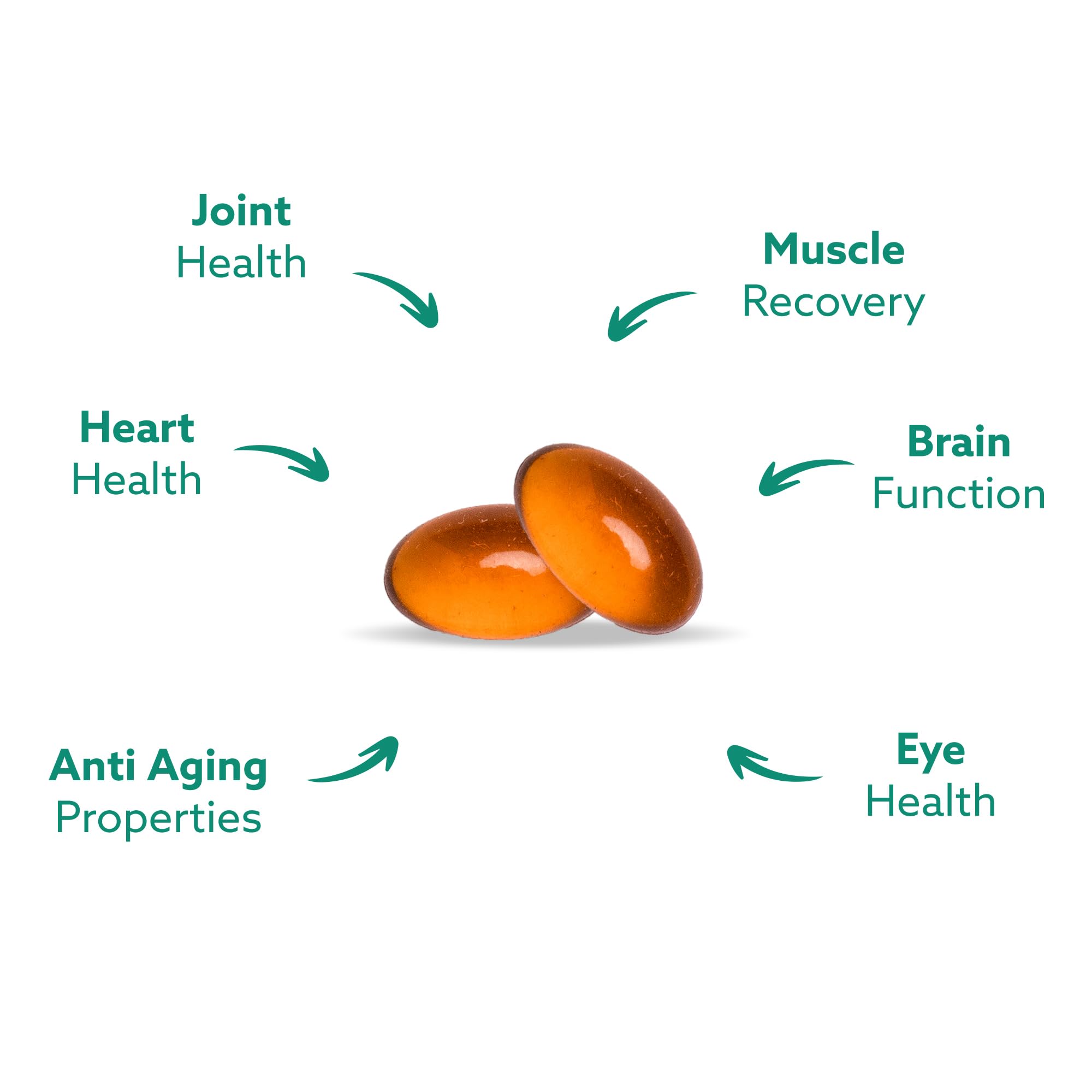 GLX3 Joint Support Extra Strength Omega-3 Supplement | Premium New Zealand Green Lipped Mussel Oil - Comfort, Flexibility, Muscle Recovery - ETA EPA DHA Omega 3 Supplement Capsules by Haka Life