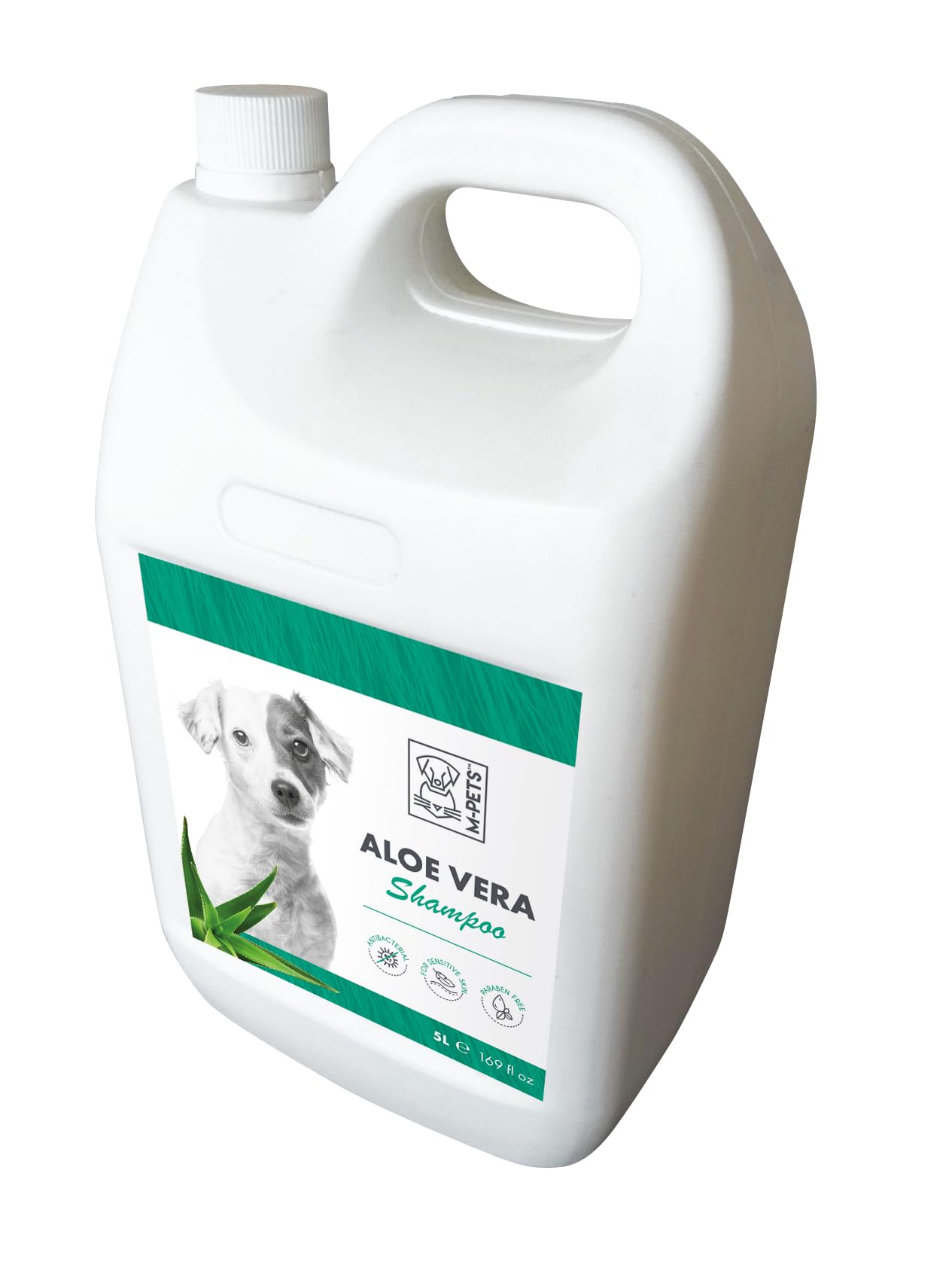 Aloe Vera Shampoo 5L