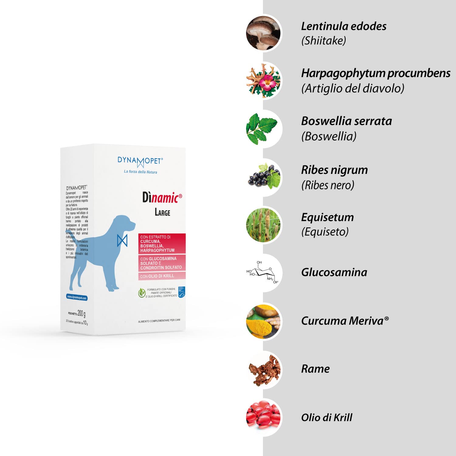 Integratore Articolazioni Cane Dìnamic Large - Alimento Complementare per il Benessere Articolare e Mobilità dei Cani con Glucosamina Condroitina Artiglio del Diavolo