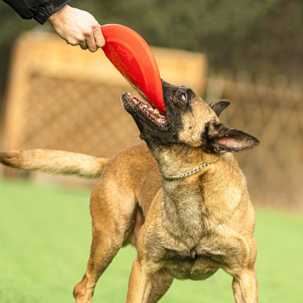 Frisbee Per Cani In Gomma - Giocattolo Galleggiante 15 Cm, Addestramento E Divertimento - Foto 7
