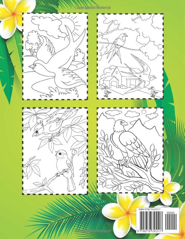 Bird Coloring Book For kids Ages 4-8: Smithsonian Birds Coloring Book prefect gift for kids Boys and girls - Image 2
