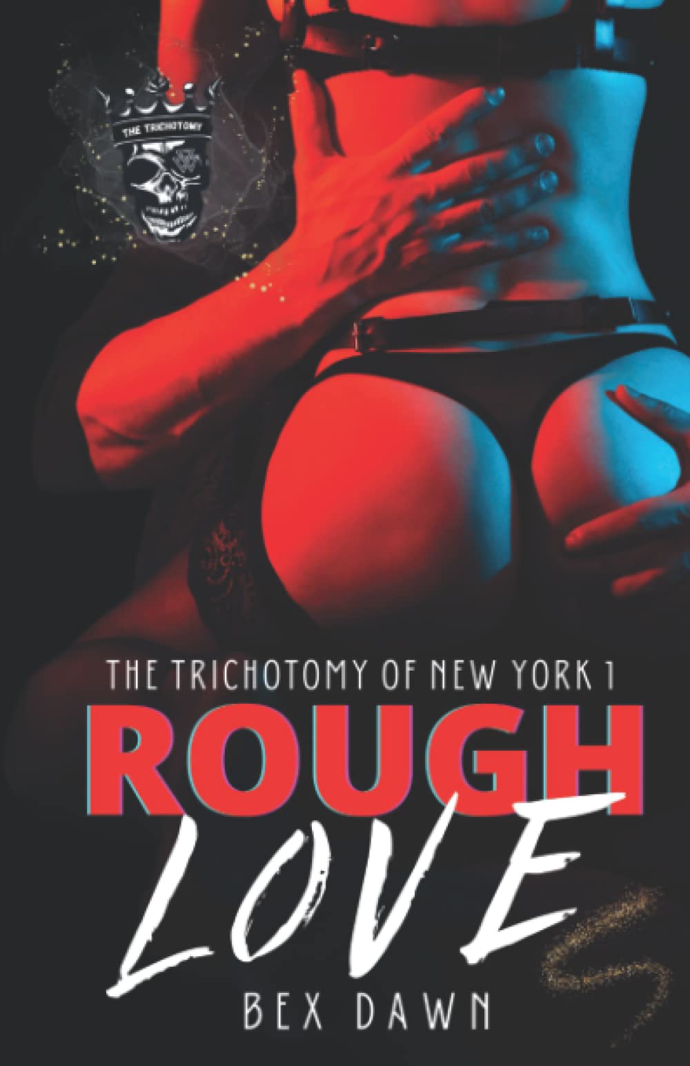 Rough Love: A Dark Reverse Harem Romance: The Trichotomy of New York Book 1