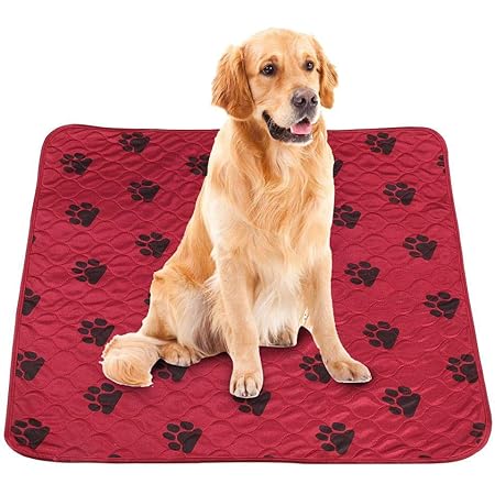 Amazon 犬 おしっこマット ペット用 おしっこシート 犬のおしっこパッド ペットシーツ ペット用 トイレ下敷きマット 防水 速乾 介護 洗える 再使用可能 床ずれ防止マット レッド 70 80cm Smandy ベッドマット 通販 Amazon 犬 おしっこマット ペット用 おしっこシート 犬のおしっこパッド ペットシーツ ペット用 トイレ下敷きマット 防水 速乾 介護 洗える 再使用可能 床ずれ防止マット レッド 70 80cm Smandy ベッドマット 通販