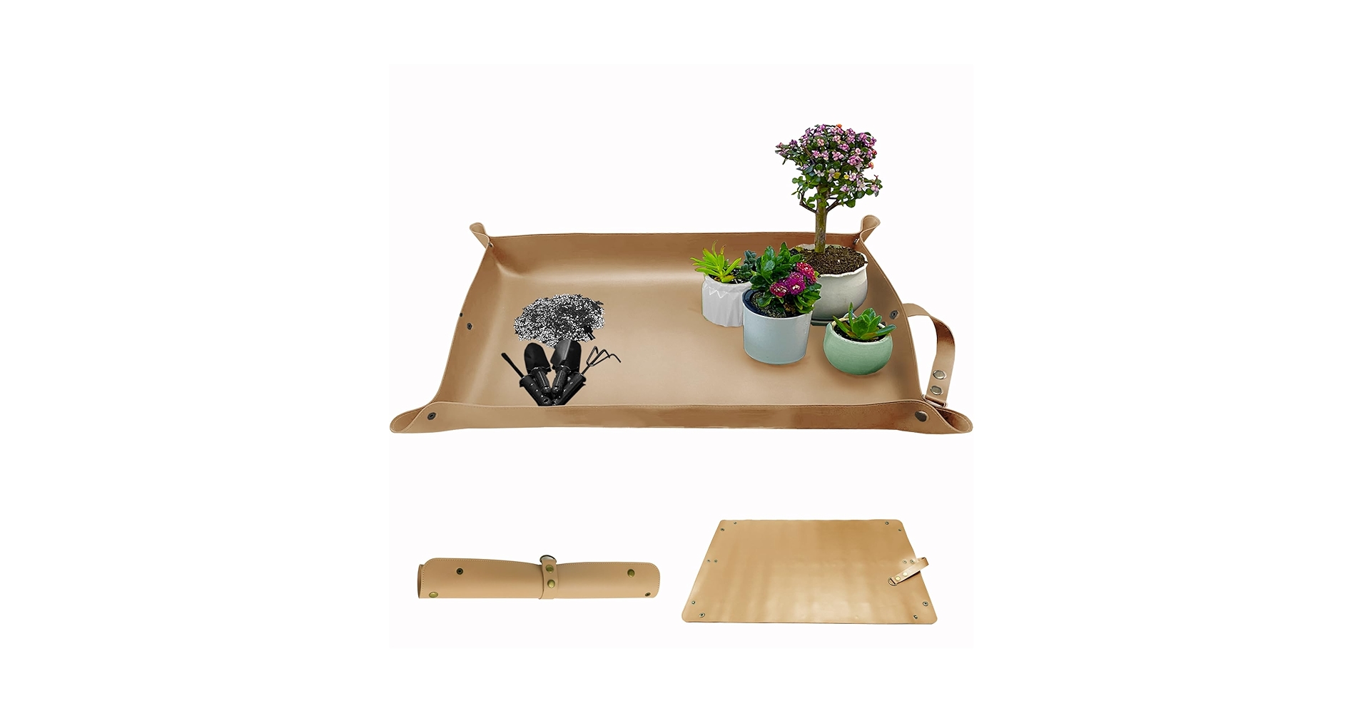 61UxOSSqFYL.jpg_BO30,255,255,