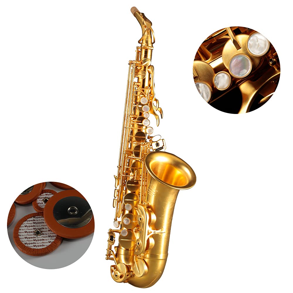 Rollins Saxophone alto RSA-X10-II,E flat Selmer 54-Key,Matière laiton, Or