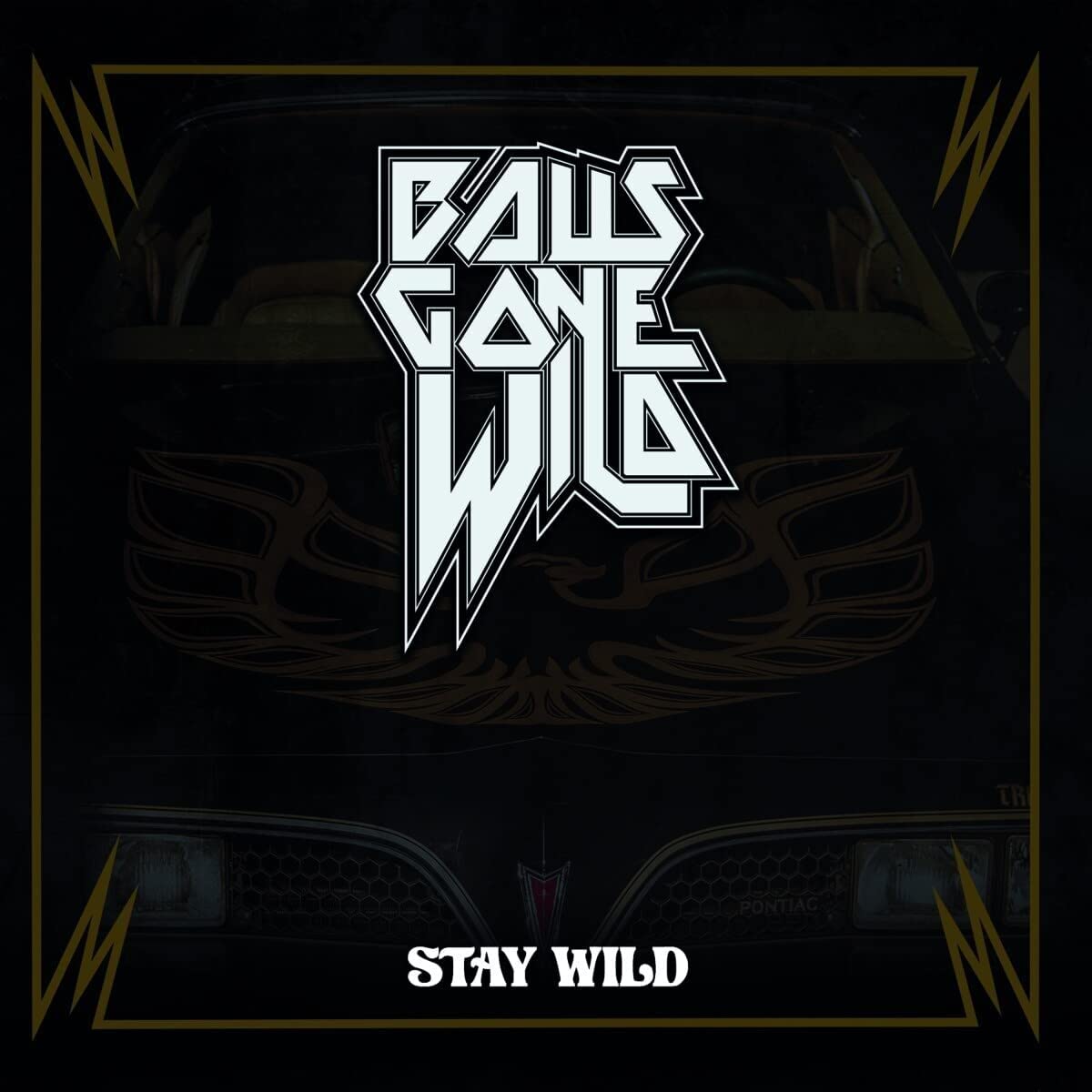 Stay Wild [VINYL]