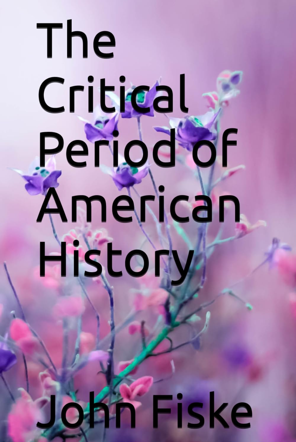 The Critical Period of American History