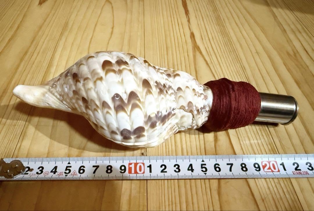 【美品】法螺貝 38cm・ほらがい・ホラガイ・No.133 タカシェル 法螺貝 ほらかい ホラガイ ほら貝 口金