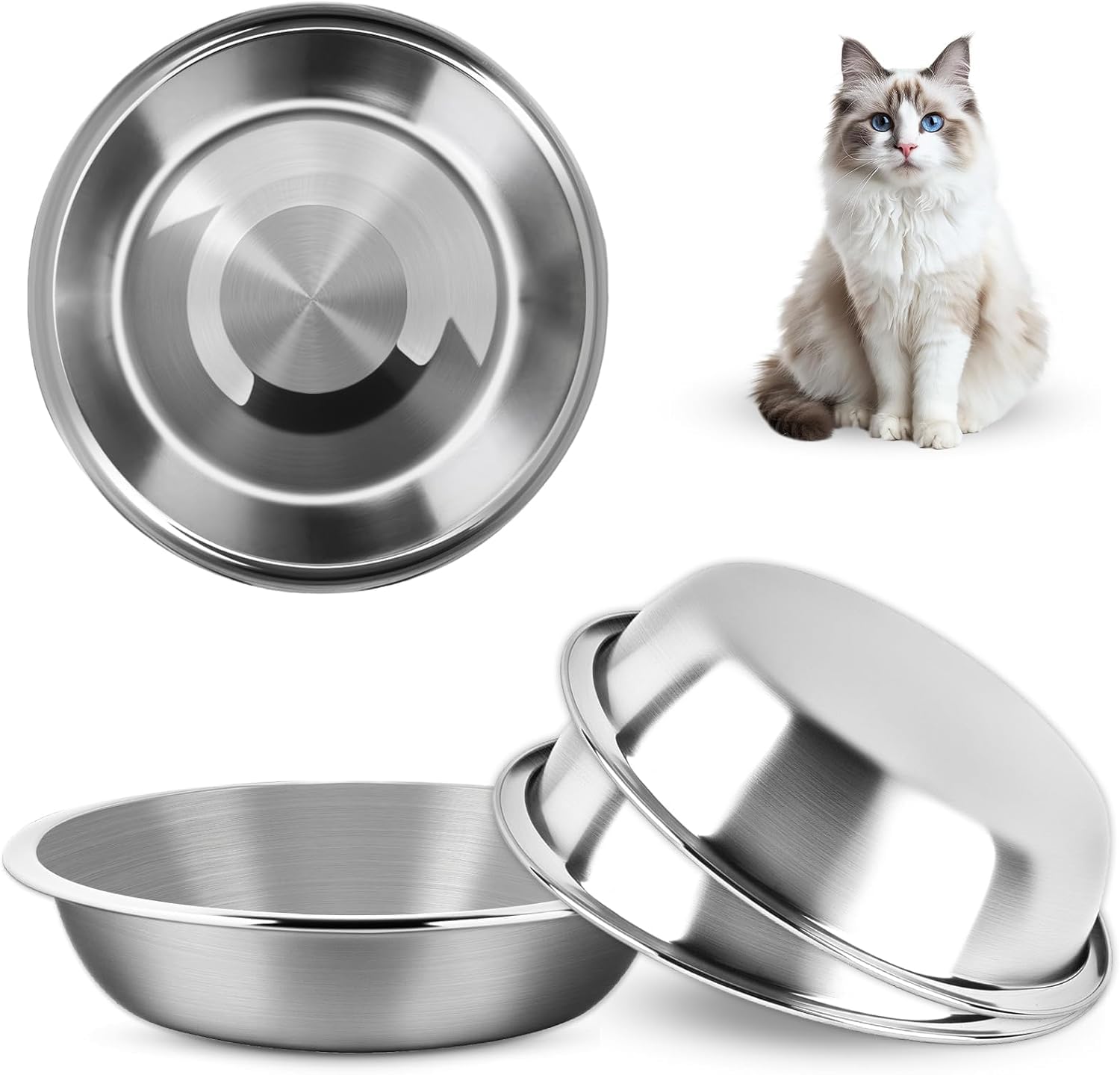 Gamelles en acier inoxydable pour chat pour remplacer les assiettes usées de vos petits animaux