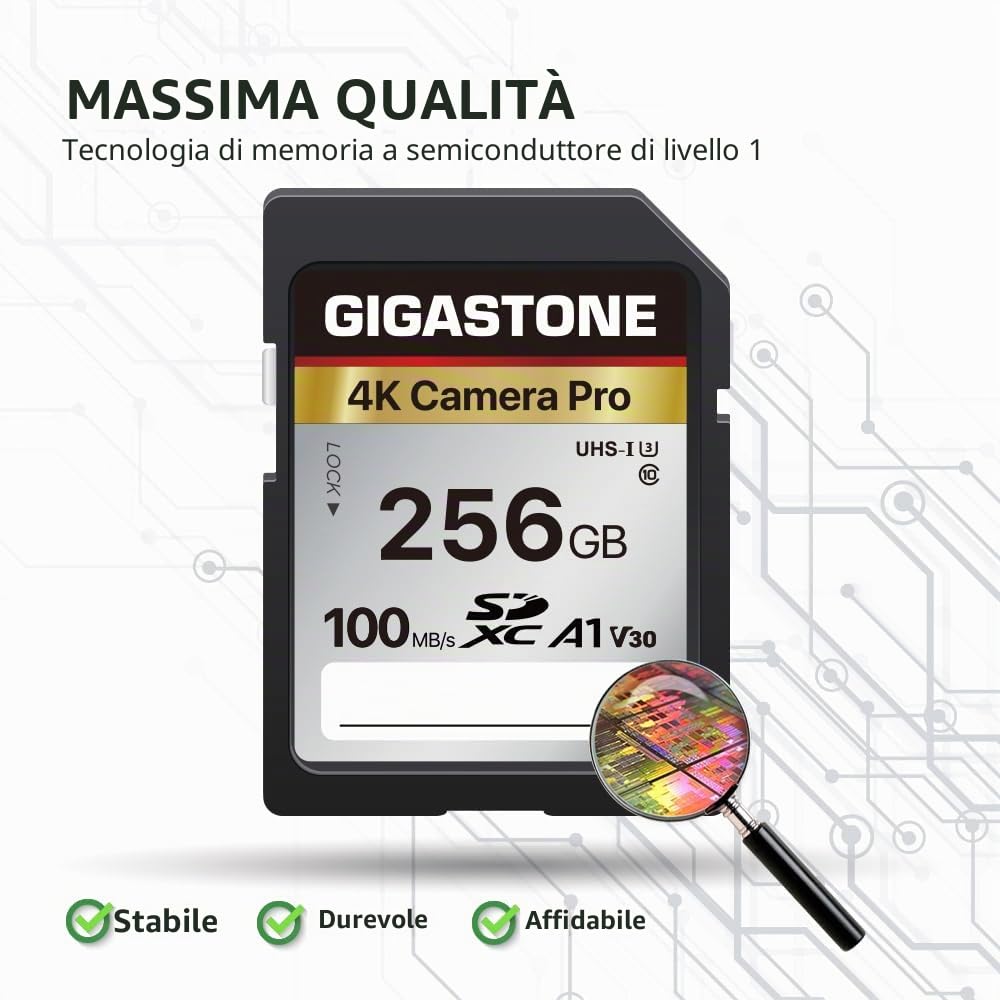 [5 anni di recupero dati gratuito] GIGASTONE Scheda di memoria da 256 GB Serie 4K Pro, velocità fino a 100 MB/s, compatibile con videocamere Canon, Nikon, Sony, A1 V30 UHS-I