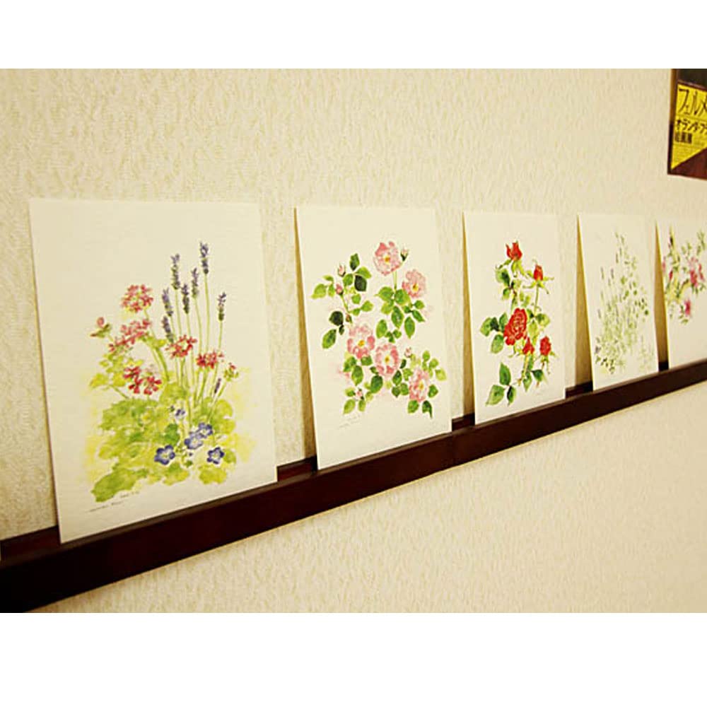 Amazon.co.jp: 藤井 奈津子 水彩画家 Art Collectionアート