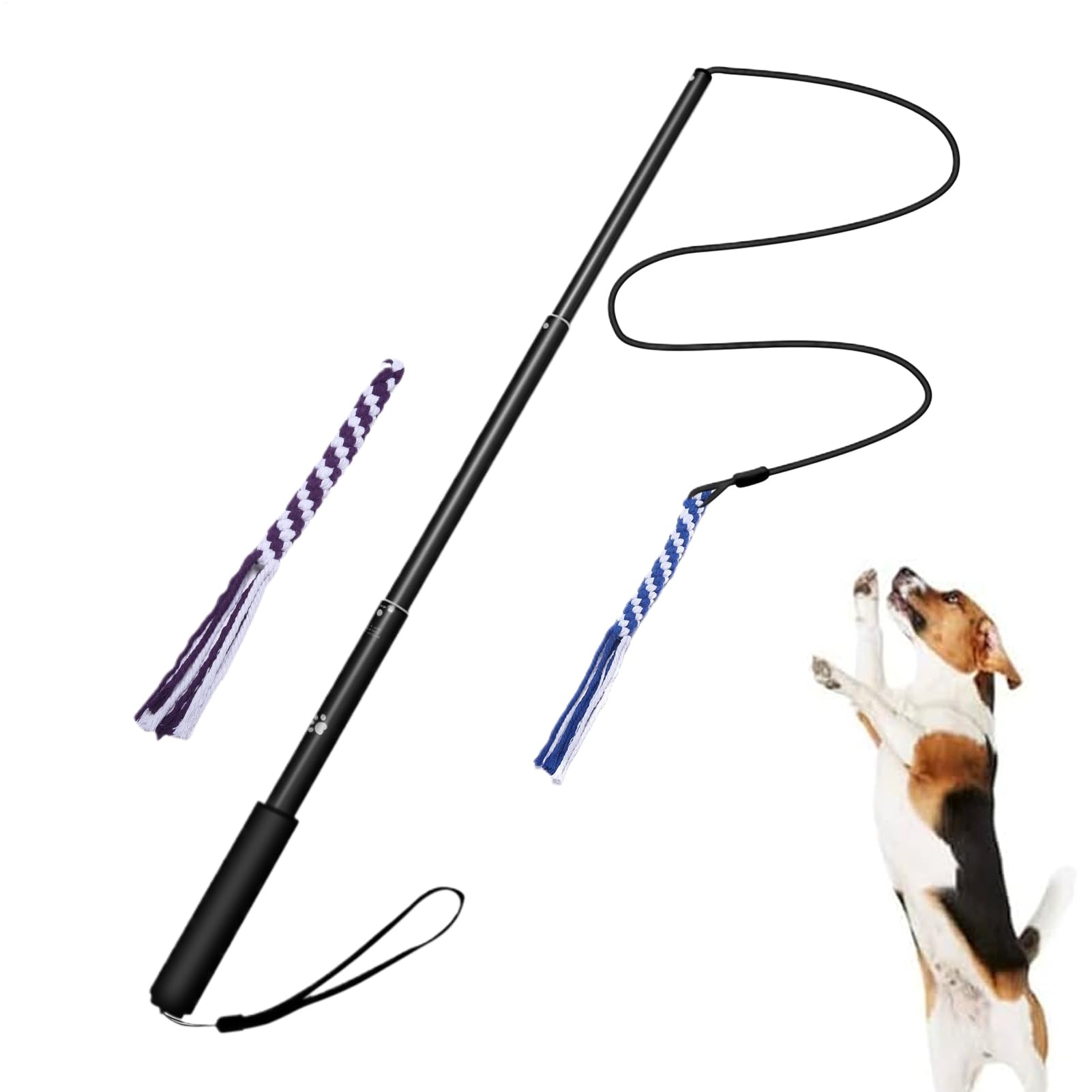 Fizepgo Flirt Wand for Dog,Interactive Dog Flirt Pole Tug of War | Retractable Puppy Enrichment Game for Obedience Training Outdoor Play Exercise