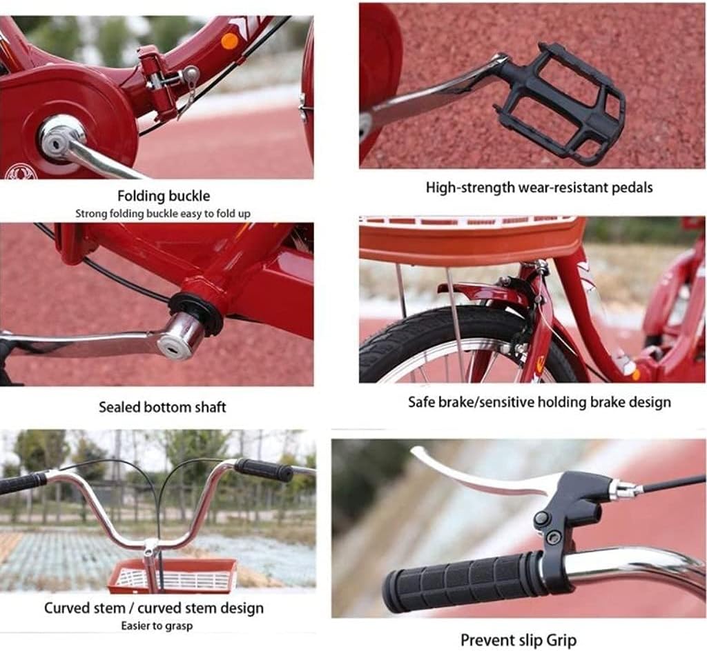 Three Wheel Bike 20 Inch Seniors Adult Tricycle Trike Bicycle Cargo Basket Foldable Tricycle for Picnic Cycling Pedalling Shopping Work Men & Women