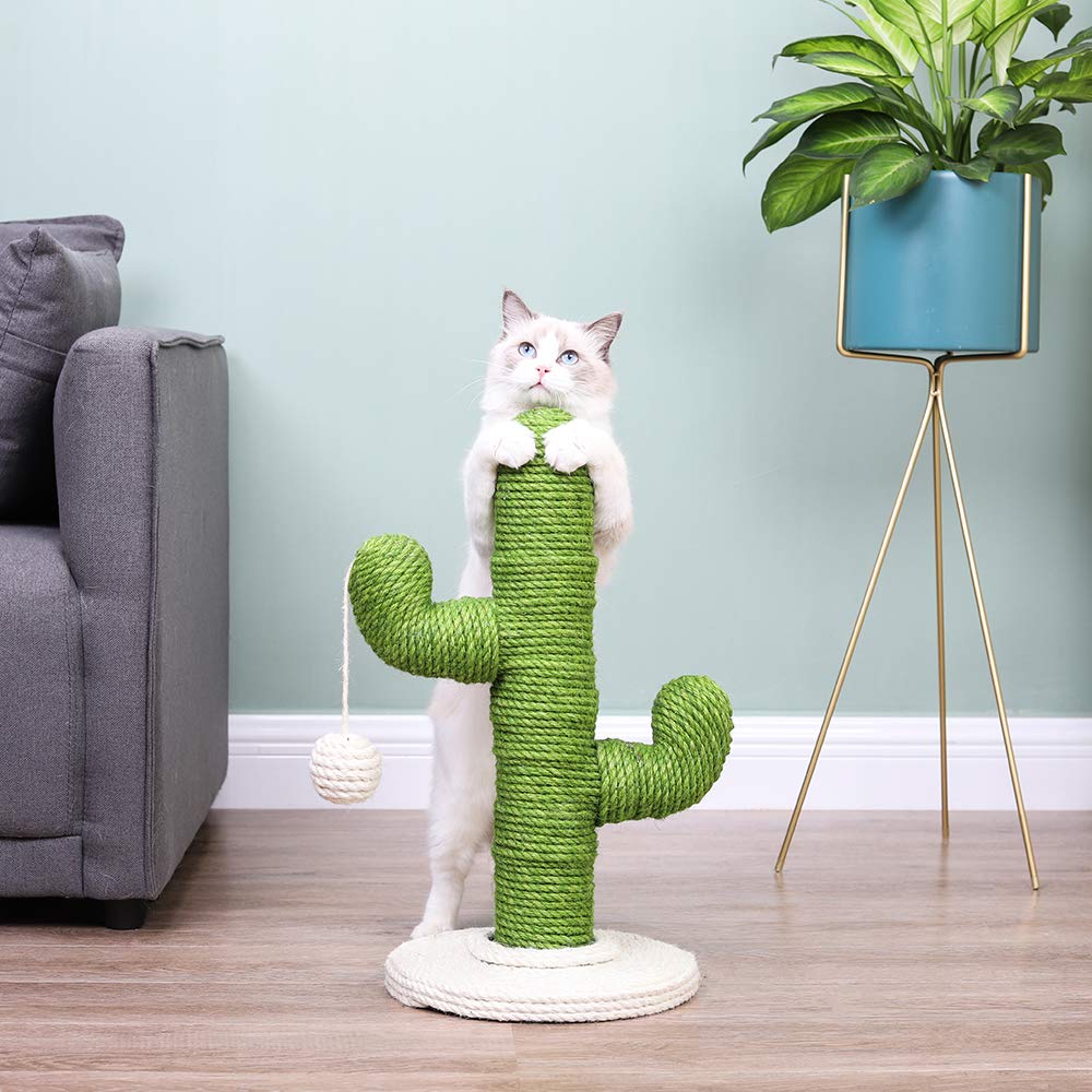 Amazon | キャットタワー 猫タワー 猫用 爪とぎ105×58CM サボテン型