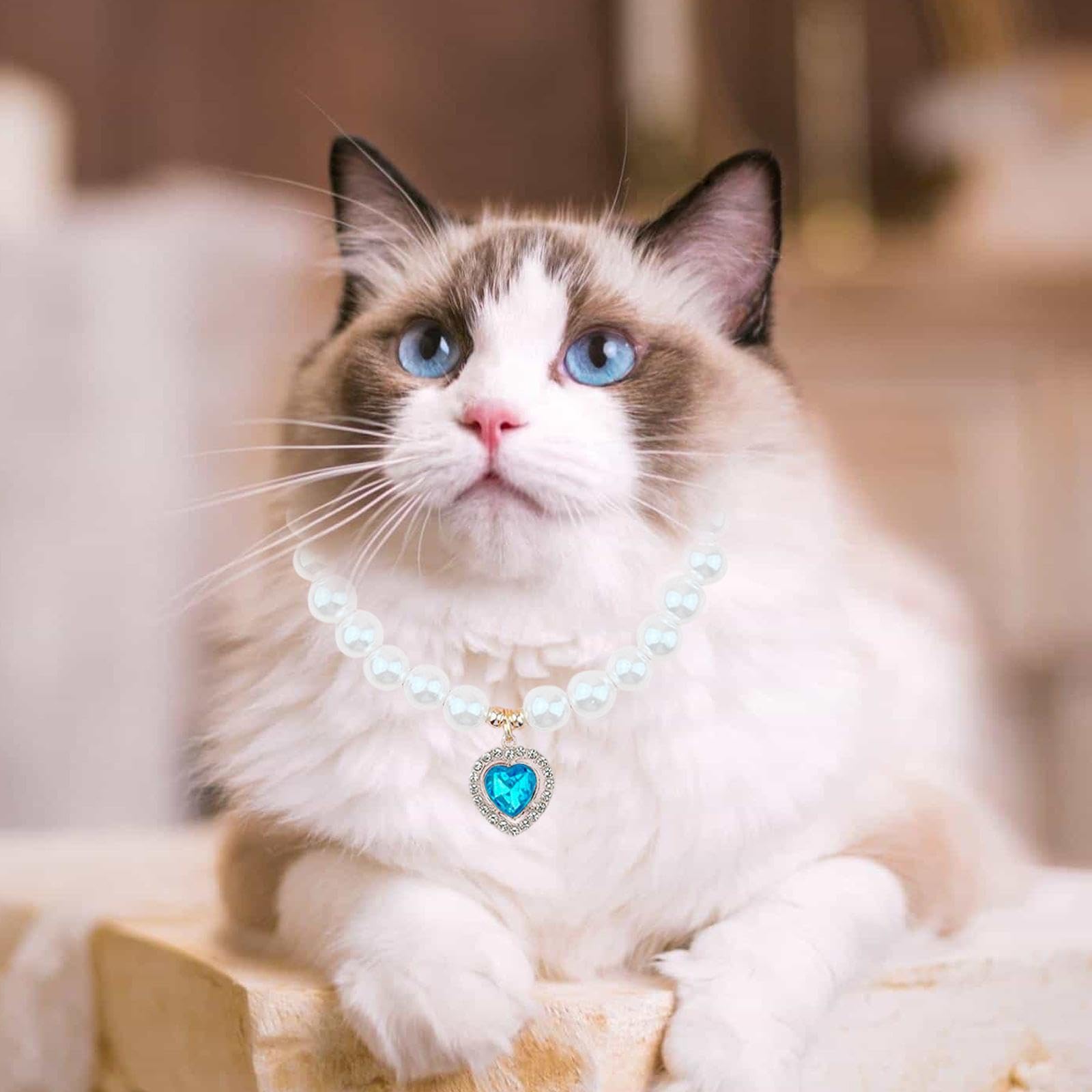 Baoblaze Pet Pearl Necklace Dog Collar Necklace Fancy Dress up Outfit Pet Jewelry Adjustable for Indoor Cat Small Dogs Holiday Wedding, M