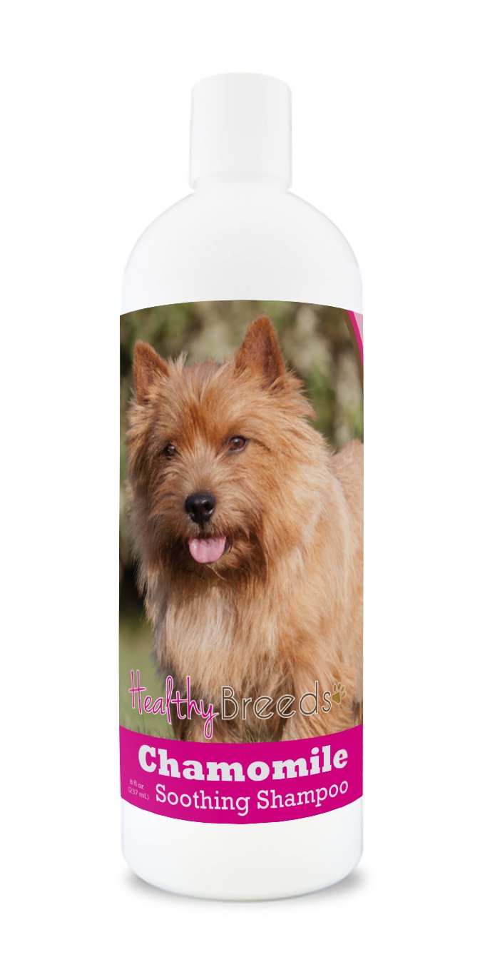Healthy Breeds Yorkshire Terrier Chamomile Soothing Dog Shampoo 8 oz — view 190