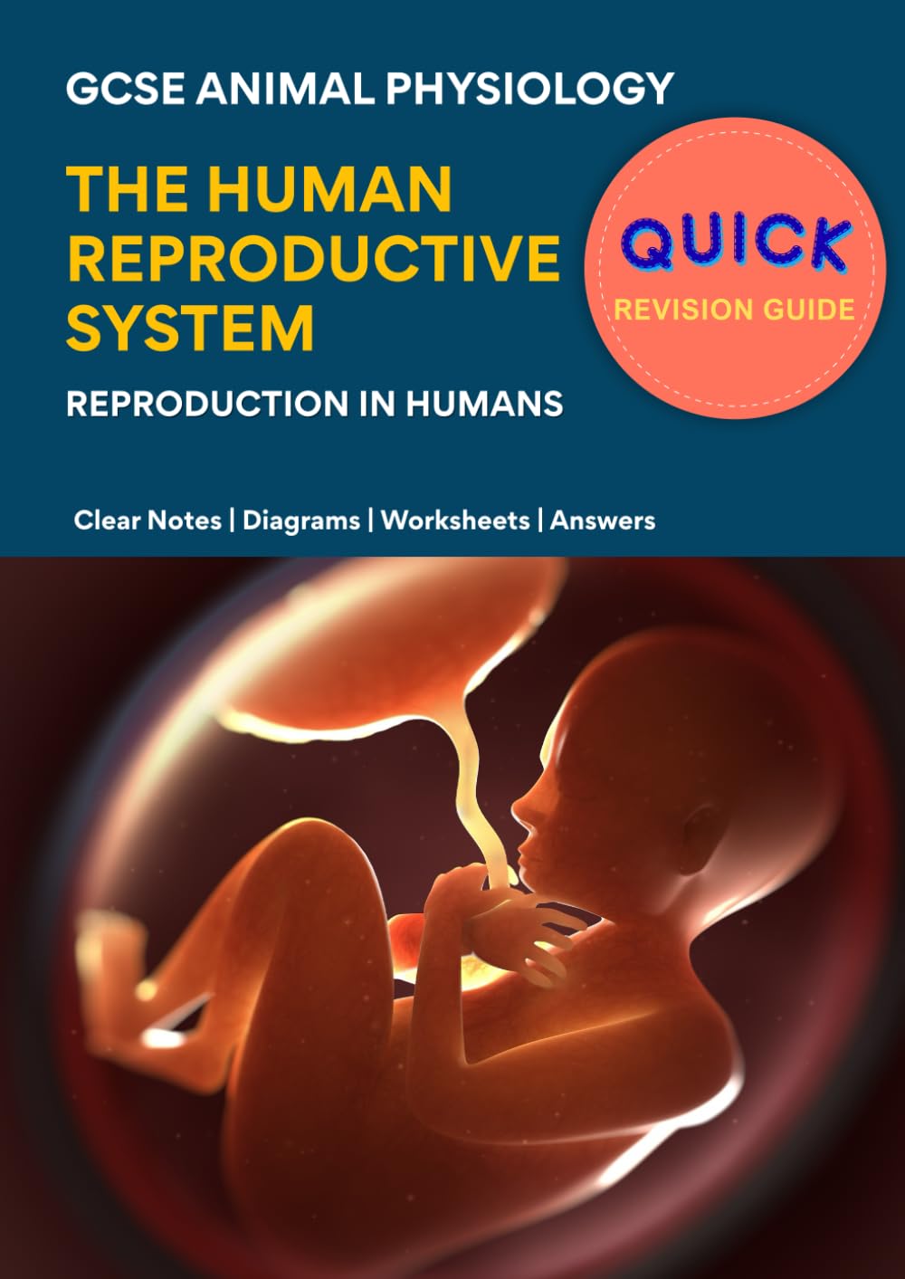 Quick Revision Guide – Human Reproductive System: GCSE Animal Physiology – Clear Notes | Diagrams | Worksheets | Answers: GCSE & IGCSE Reproductive Biology