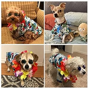 3piecespetdoghawaiiancostumeincludespuppycooltshirtssummerclothesfunnycutedogretrofashionsunglassesandacolorfulwreathforsmalltomediumpetgreenseries  Urban Country Home Decor 3 pieces pet dog hawaiian costume includes puppy cool t shirts summer clothes funny cute dog retro fashion sunglasses and a colorful wreath for small to medium petgreen series  urban country home decor