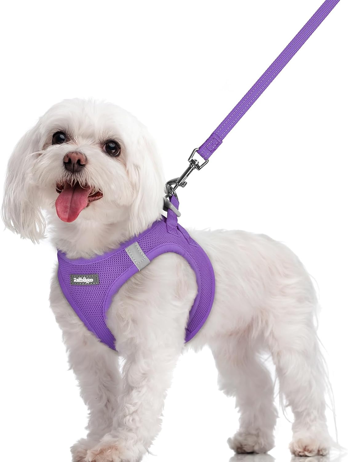 rabbitgoo Dog Harness Small Sized and Leash Set, Step in Soft Light Puppy Vest, Breathable Mesh Pet Harness, Reflective for Safe Outdoor Walking, Purple M M (Chest: 16 - 18.5") Purple