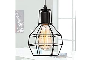 Industrial Retro Wire Cage Pendant Light
