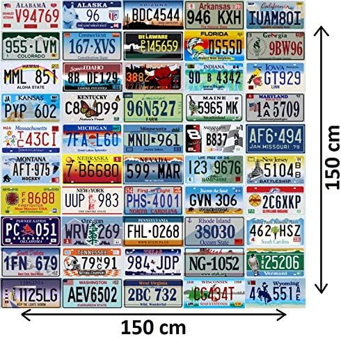 Miniatura 8 de - Réplica de 50 placas decorativas de metal de EE. UU. - Los 50 estados incluidos - 6 x 12 pulgadas en relieve - Letrero de metal para hombre, barra