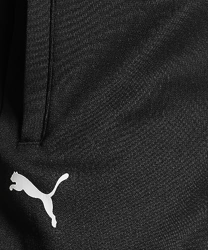 Image of Puma Men Track Pants