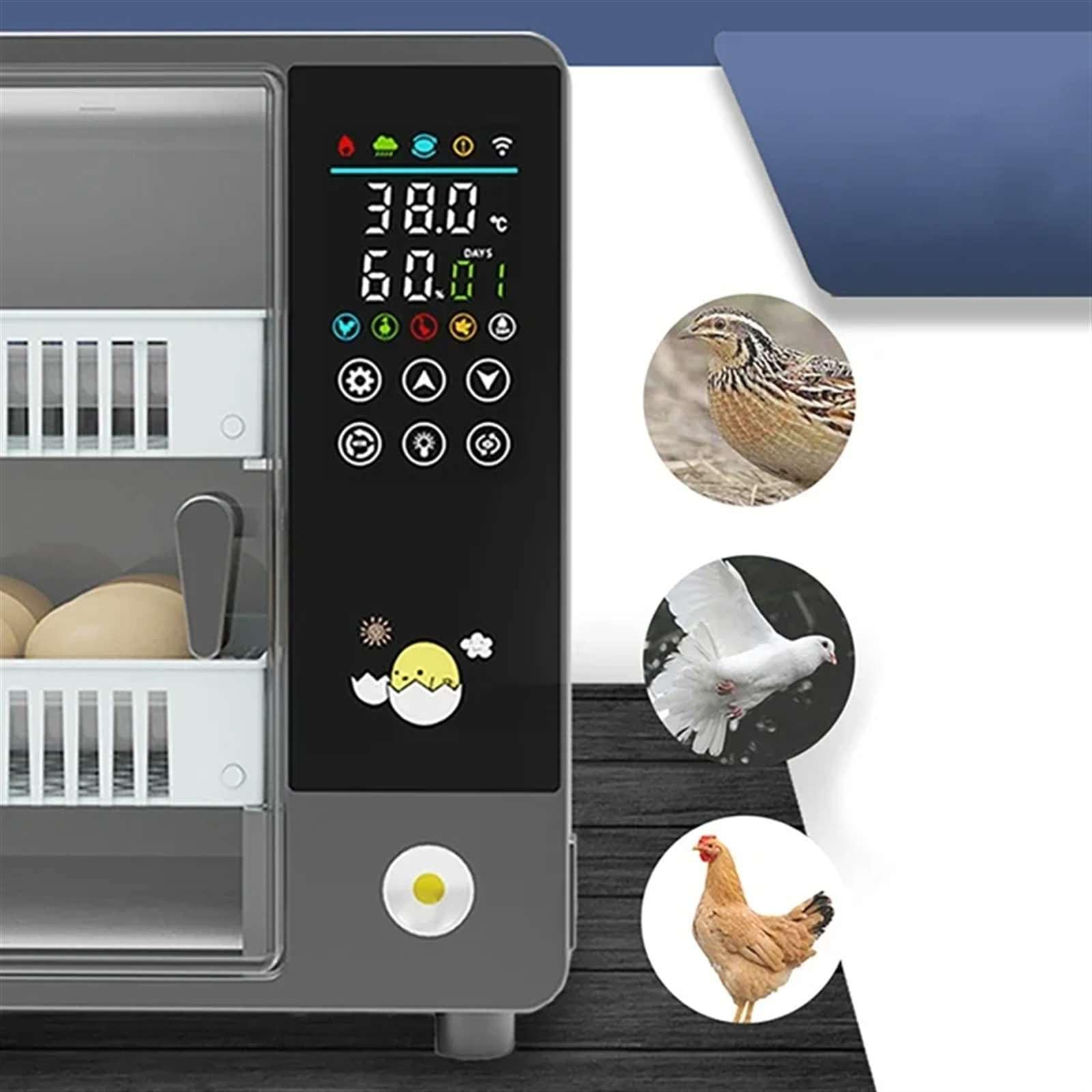 Incubadora Huevos Gallina, Incubadora Automática de Huevos para 24 Huevos, con Volteo Automático de Huevos y Humidificación Automática, Control Inteligente de Temperatura Pantalla Táctil