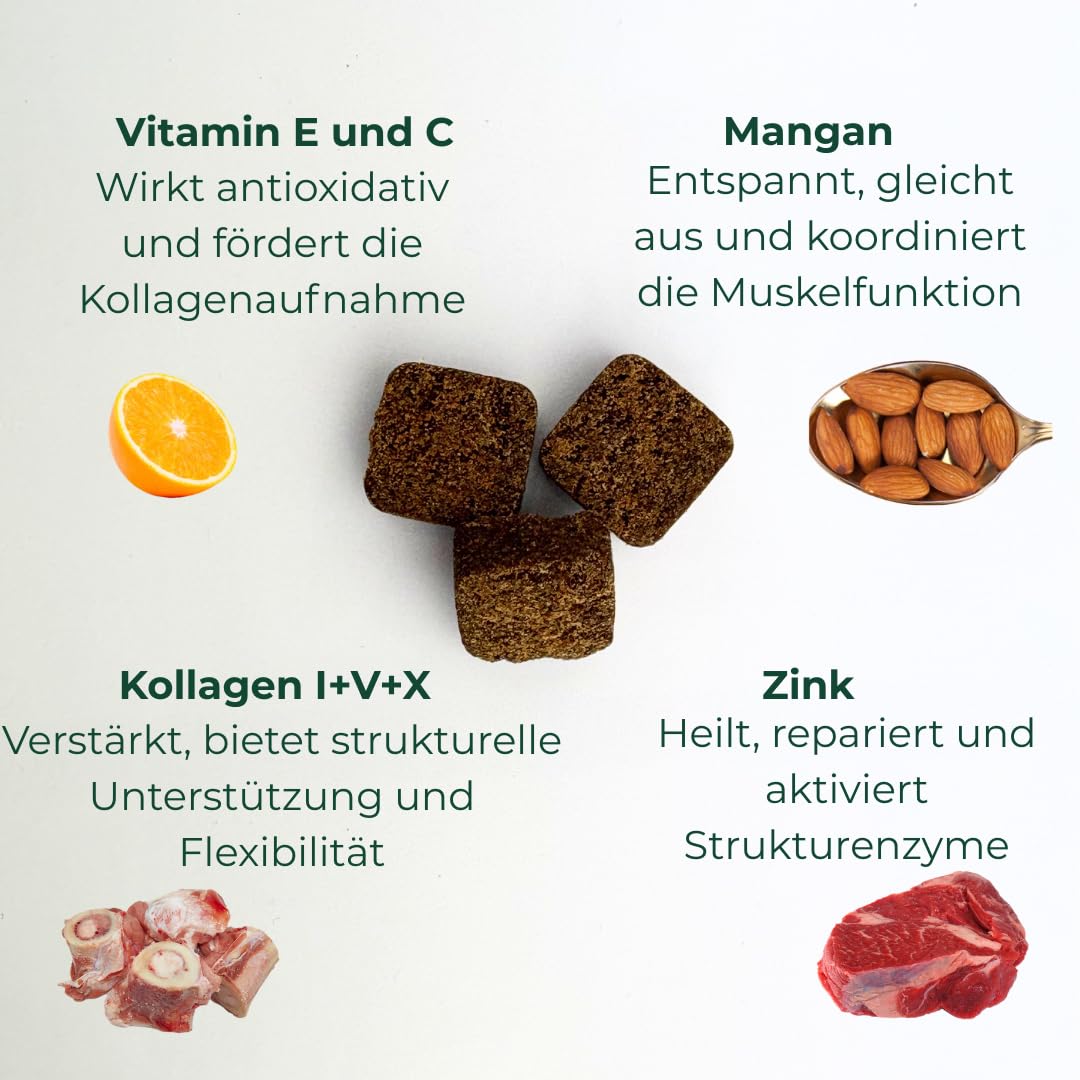 Entzündungshemmendes Chondroprotektor für Hunde Ortocanis – 13 in Aktivstoffe: Glucosamin, Chondroitin, MSM, Omega-3 EPA + EVA, Kurkuma, Boswellia Serrata, Kollagen, Vitamin E, C, Magnesium